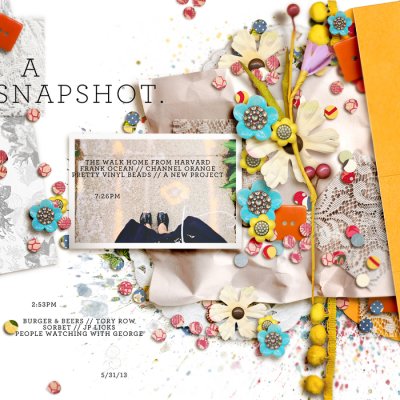 A Snapshot