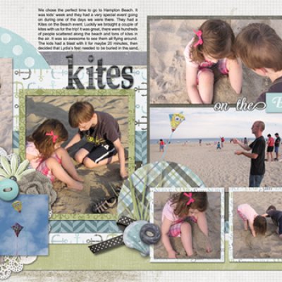 Kites on the Beach