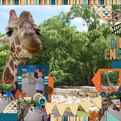 Giraffe Encounter @ Niabi Zoo