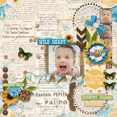 Wild Heart