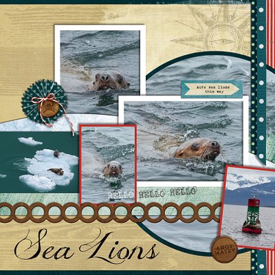 Alaskan sea lions