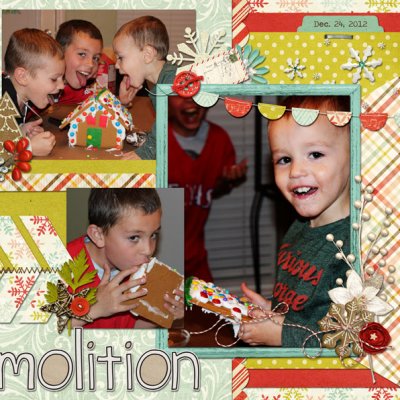 Home demolition