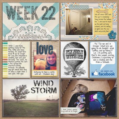 Project 2013- Week 22 (left)