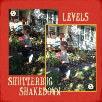 SS #7 Levels