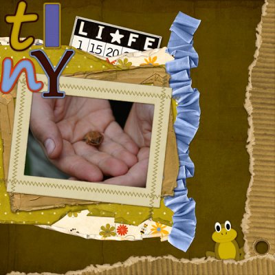 Tiny Life