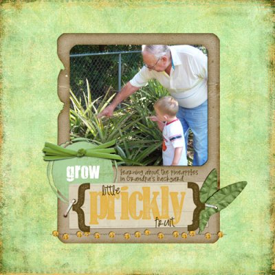 Grow Pineapple