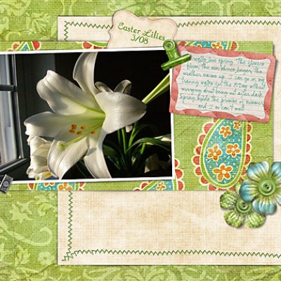 Easter Lilies 3/08