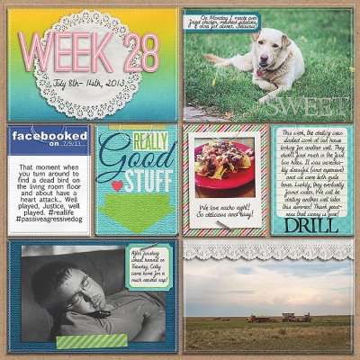 Project 2013- Week 28 (left)