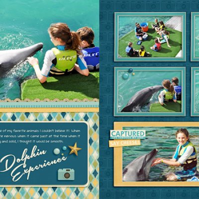Dream dolphin experience