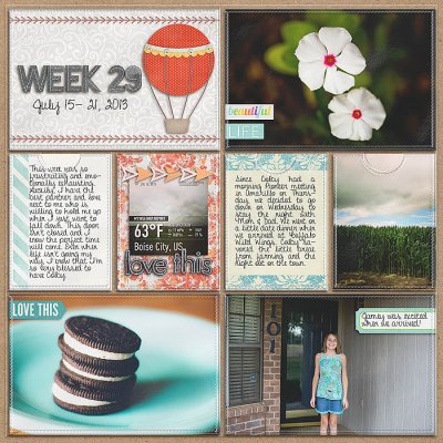 Project 2013- Week 29 (left)