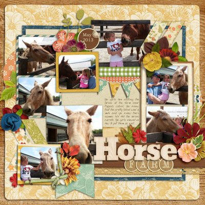 Horse Farm