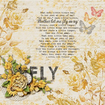 Fly