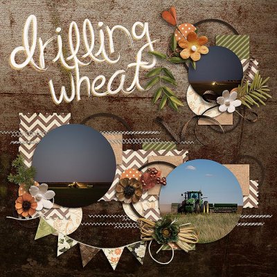 Drilling Wheat (left)