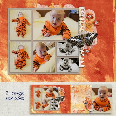 Little tiger