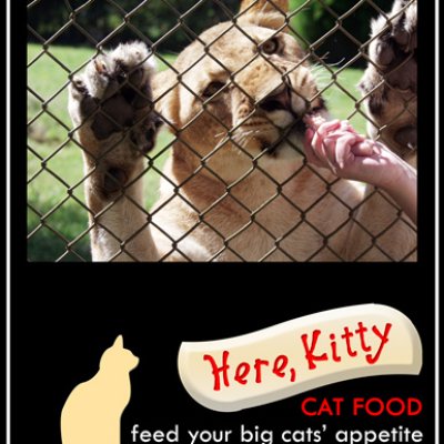 Pop 4- {big} cat food ad