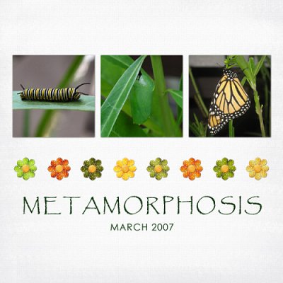 Metamorphosis