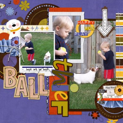 Ball Thief