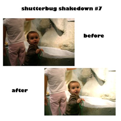 shutterbug shakedown #7