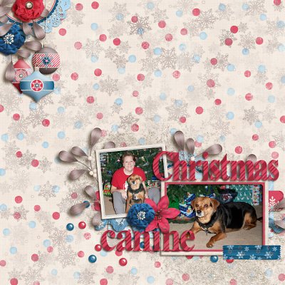 Christmas Canine