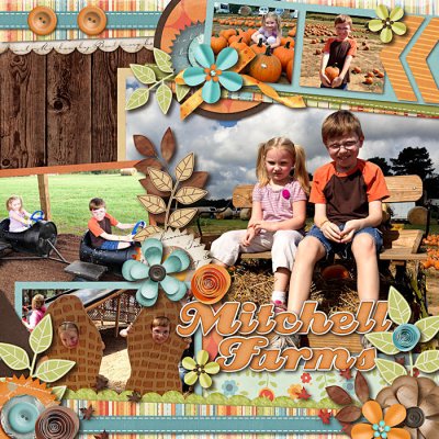 Mitchell Farms 2013