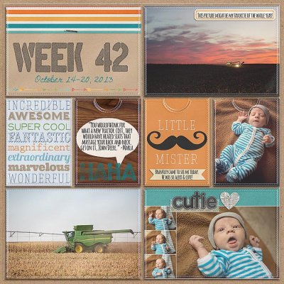 Project 2013- Week 42 (left)