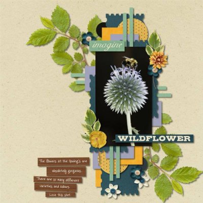 Wildflower