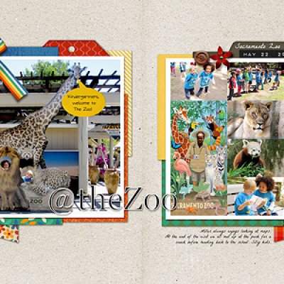 At The Zoo
