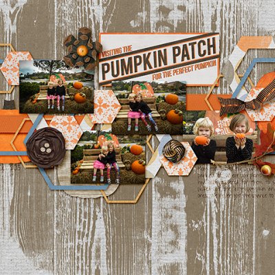 Pumpkin Patch