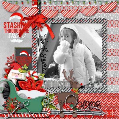 Snow 2008