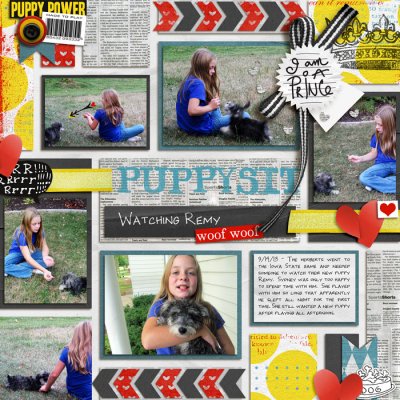 Puppysit
