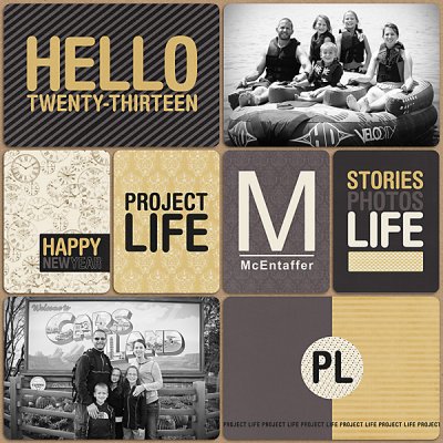Cover Page Project Life 2013