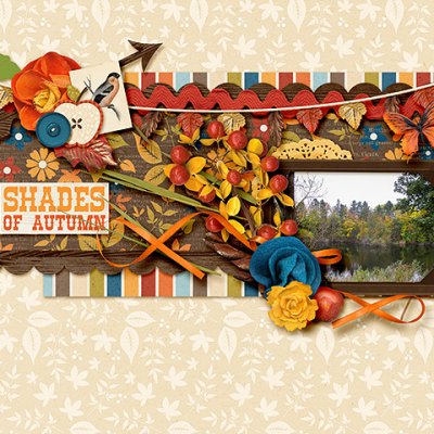 Shades of Autumn