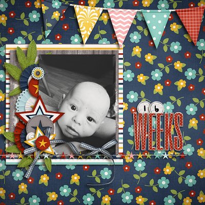 16 Weeks