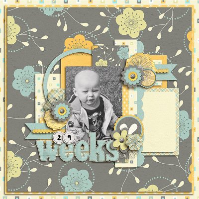 29 Weeks