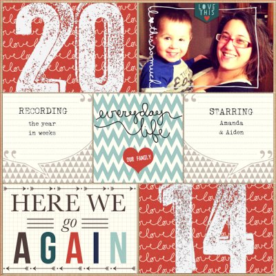 PL 2014 Cover