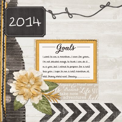 2014 goals