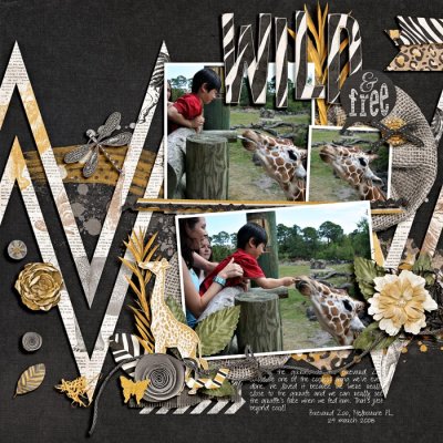 wild n free