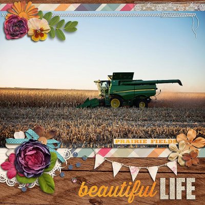 Beautiful Life