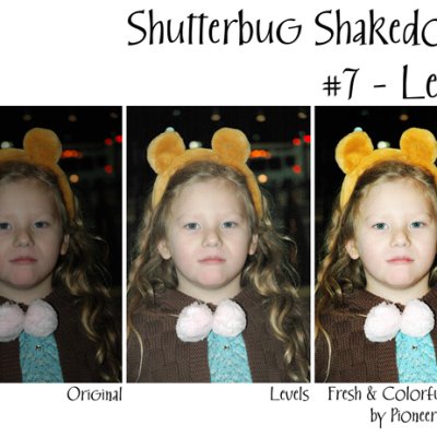 Shutterbug Shakedown #7 - Levels (Annika)