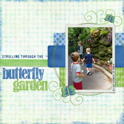 Butterfly Garden