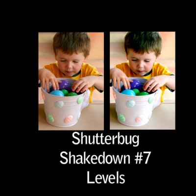 Shutterbug Shakedown #7