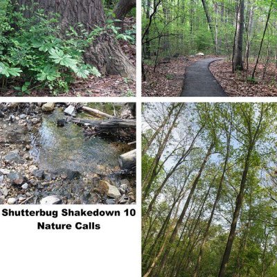 Shutterbug Shakedown  10
