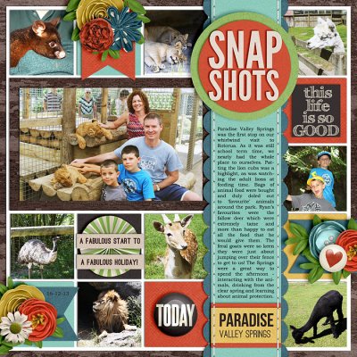 Snapshots