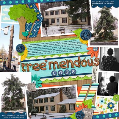 TreeMendous_rach3975