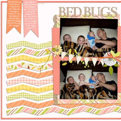 Bed Bugs
