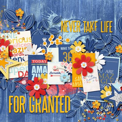 Never Take Life for Granted