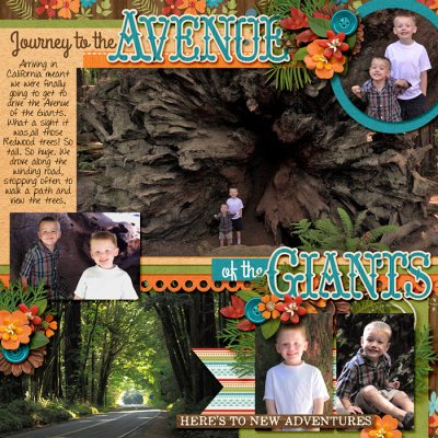 Avenue of the Giants