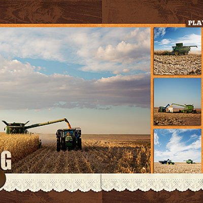 Chopping Corn