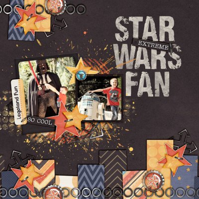 Star Wars Fan