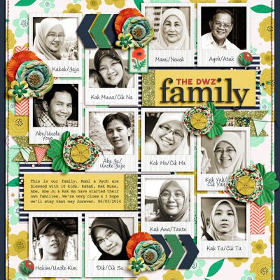 The DWZ Family